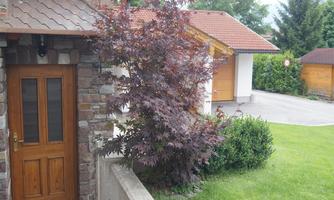 An entrance area with a wooden door and a beautiful, colorful tree. In the background, there are more buildings and a green lawn visible.