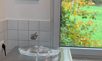 A stainless steel microwave is sitting on a kitchen countertop. In the background, there is a window view of a beautifully colored autumn garden.