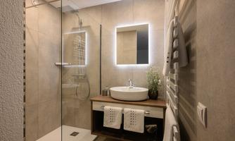 A modern bathroom with a walk-in shower and an elegant sink. The walls are in neutral colors, and there is a decorative plant.