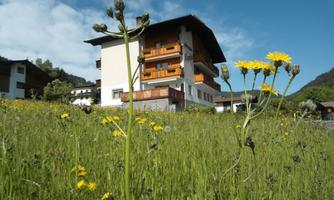 Haus Sonja Wildschönau Sommer