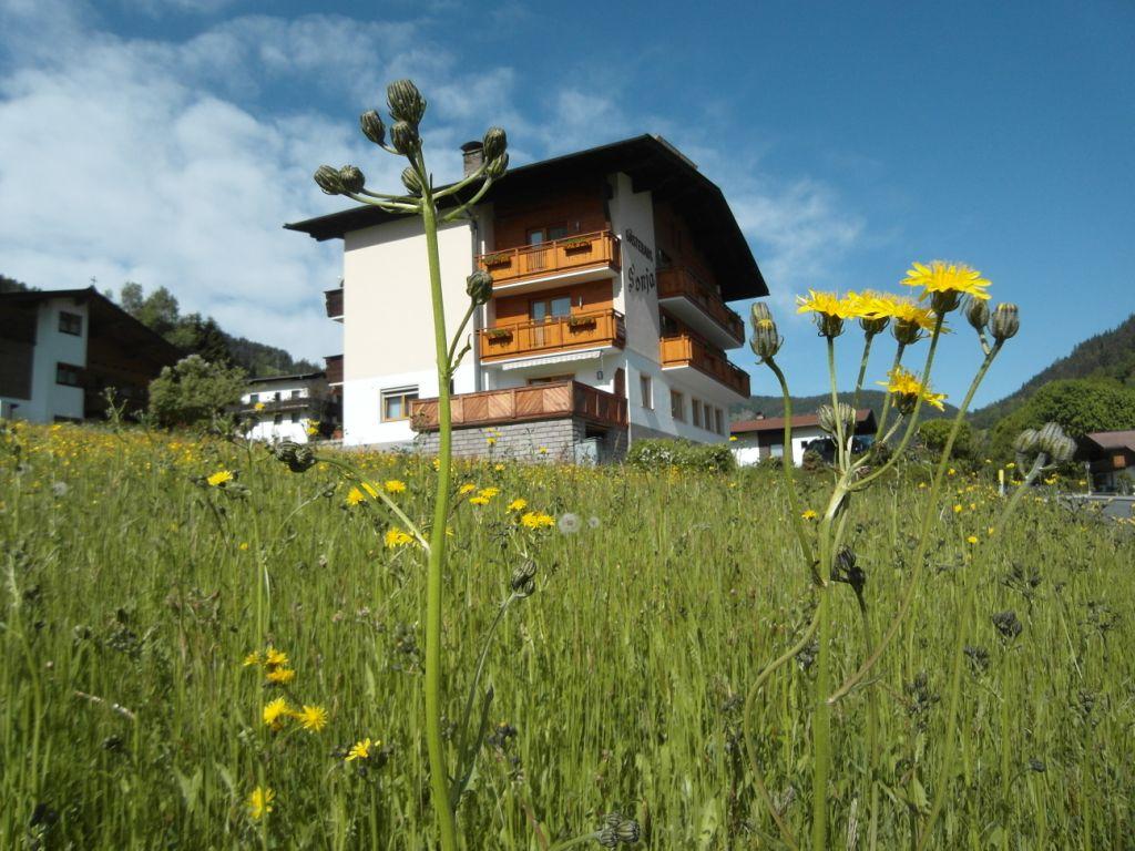 Pension Sonja