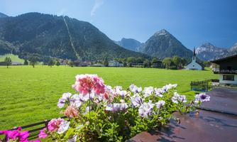 A picturesque landscape with green meadows and majestic mountains in the background. Colorful flowers are blooming nearby, and a small church is visible among the buildings.