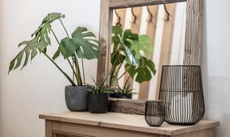 A stylish wooden table with decorative plants and a mirror. The modern decor includes a black wire vase and a small gray plant.