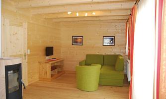 A cozy living room with wooden-paneled walls and a green sofa. A television and two pictures complement the inviting atmosphere.