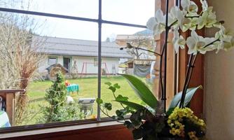 A view from a window overlooking a garden with grass and trees. In the foreground, there is an orchid in a pot.
