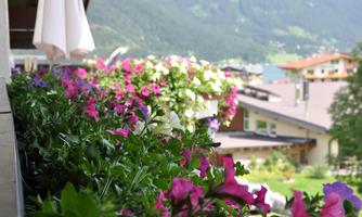 Colorful flowers on a balcony overlooking the mountains. A peaceful landscape with houses and green hills in the background.
