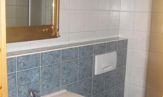 A small bathroom with a white toilet and a sink. A golden mirror hangs on the wall.