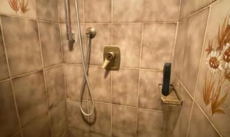 A small shower with brown tiles and a simple shower fitting. The wall features floral decorated tiles.