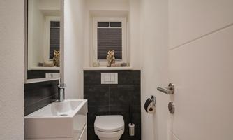 A modern bathroom with a toilet, a sink, and a large mirror. The window lets in daylight and creates a bright atmosphere.