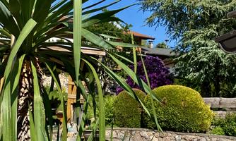 Jochum_Appartements_Wildschoenau_Pool_Palmen