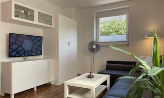 A modern living room with a TV, a white coffee table, and a dark sofa corner. Large windows provide plenty of daylight, and a green plant adds freshness to the space.