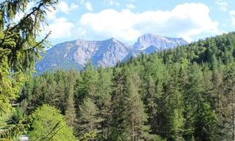 A picturesque mountain landscape with tall trees in the foreground. In the background, impressive mountains are visible under a blue sky.