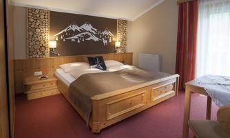 A cozy bedroom with a large bed and wooden paneling. The walls are decorated with a mountain motif, and large windows provide plenty of daylight.