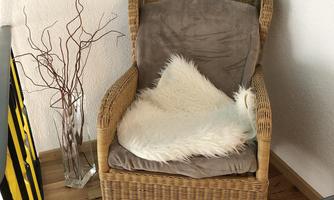 A cozy wicker chair with a gray cushion and a white fur throw. Next to the chair stands a stylish vase with decorative branches.