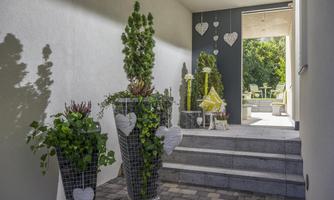 An inviting entrance area with stylish plants in decorative pots. In the background, a bright outdoor space with seating is visible.