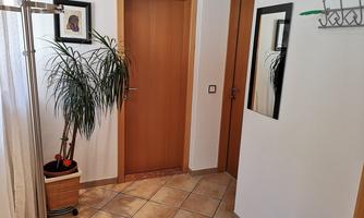 A bright hallway with two doors and a large plant in a pot. A mirror and a small picture hang on the wall.