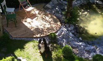 A quiet garden with a small pond and a wooden terrace. A dog is running across the lawn.
