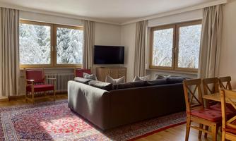 Bright living room with a gray sofa and a large rug. Two windows offer a view of snow-covered trees.