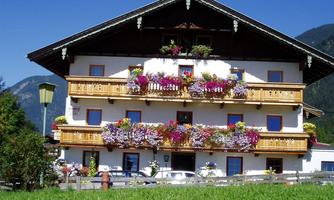 A traditional alpine house with blooming balcony flowers. In the foreground, a green meadow stretches under a clear blue sky.
