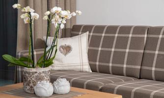 A cozy living room with a checkered sofa and a wooden table. On the table sits a decorative plant and a cushion with a heart motif.