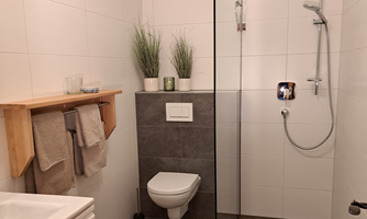 A modern bathroom with a shower and minimalist decor. Plants and towels create a pleasant atmosphere.