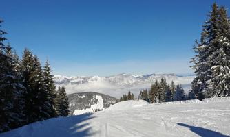 Start für Schifahrer und Rodler
