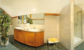 A modern bathroom with a double sink and a large shower. Green plants create a pleasant atmosphere.