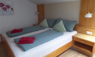 A cozy bedroom with two beds decorated with blue and red blankets. A picture of red flowers hangs on the wall, and there is a wooden dresser.