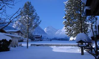 A snowy landscape with tall fir trees and mountains in the background. The sky is clear and blue.