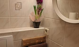 An elegant bathroom with white tiles and a round mirror. On the shelf, there is a small flower pot with a flower and green plants.