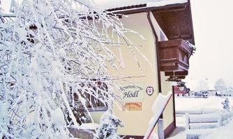 A cozy house in winter, surrounded by snow. The snow-covered trees and the tranquil view create a peaceful atmosphere.