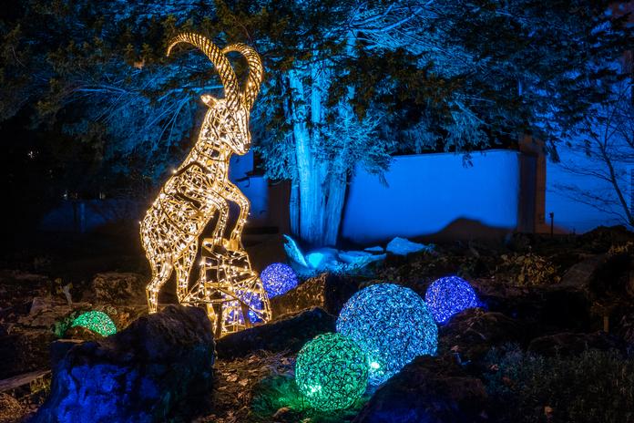 Lumagica Innsbruck