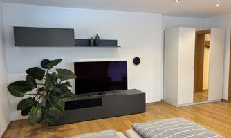 A modern bedroom with two beds, a television, and a plant arrangement. The room has light walls and wooden flooring, with a large mirrored wardrobe.