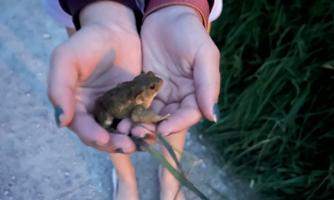 Explore nature with your children. There is so much exciting to discover.