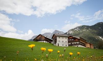 A picturesque alpine house surrounded by green meadows and colorful flowers. In the background, majestic mountains are visible under a partly cloudy sky.