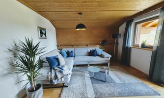 A cozy living room with a gray sofa and blue cushions. There are plants and plenty of daylight coming through the windows.