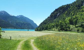 A picturesque lake surrounded by tall mountains and lush greenery. Colorful flowers bloom in the meadow in the sunlight.