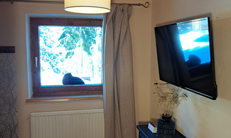 A cozy room with a window through which one can see snow and trees. A television hangs on the wall, and a black cat sits on the windowsill.