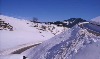 BILD0648
