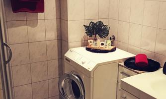 A small washing room with a washing machine, a sink, and a shower cubicle. Some towels are hanging on the wall and there is a plant on the shelf.