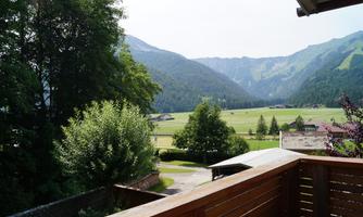 A picturesque mountain landscape with green meadows and gentle hills. The view is framed by tall trees and mountains in the background.