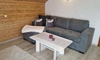 Living room with pull-out couch for 1 to 2 children or 1 adult, suitable for sleeping, lying area 200cmx140cm