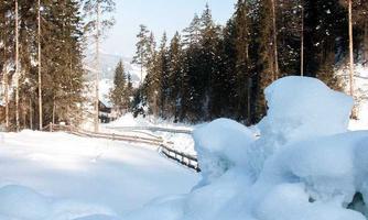 A snowy landscape with tall fir trees and a clear sky. In the foreground, large piles of snow are visible.