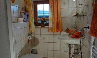 A small bathroom with tiles and a sink. The window lets in natural light and there are decorative curtains.