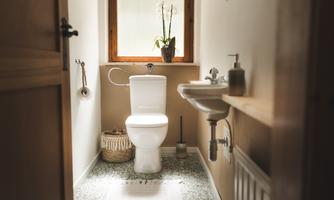 A modern bathroom with a toilet and a small sink. Windows with plants illuminate the space.