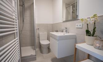 A modern bathroom with a shower, sink, and toilet. It has a bright, clean atmosphere and a plant on the table.