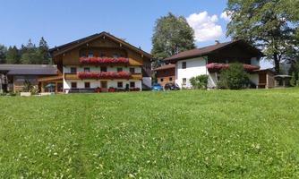 A beautiful meadow with two traditional wooden buildings and colorful flower boxes. The sky is blue and the surroundings feel calm and idyllic.