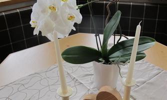 A beautifully set table with a white orchid, two candle holders, and two wooden hearts. The tablecloth has a simple, elegant pattern.