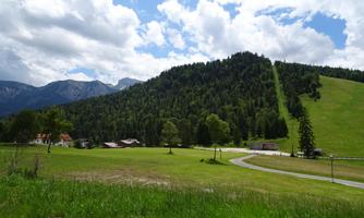 A green meadow in the mountains with a wooded slope in the background. The sky is partly cloudy and the landscape appears idyllic.