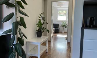 A bright hallway with a wooden floor and several plants. On the left side, there is a white table with a plant in a pot.